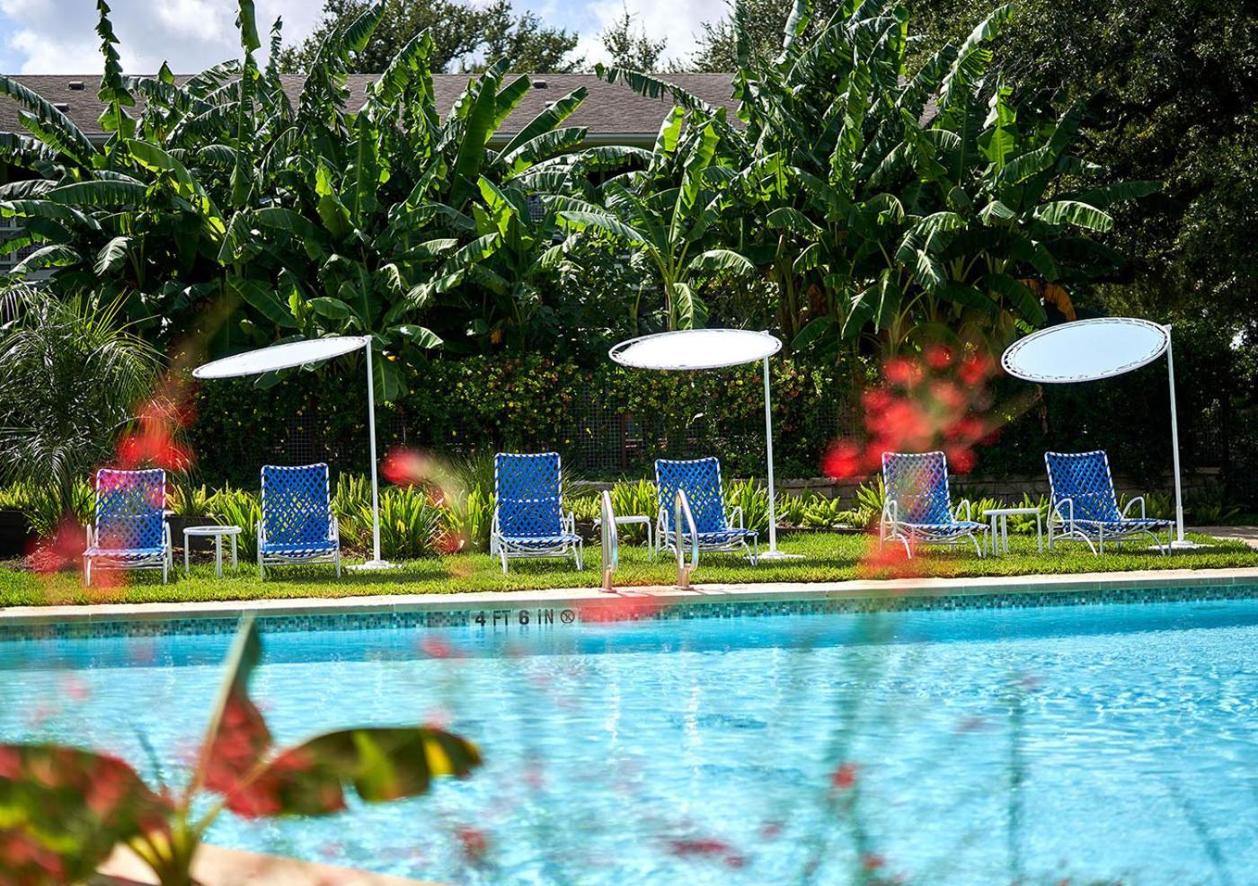 Shady Villa Hotel Main image 2