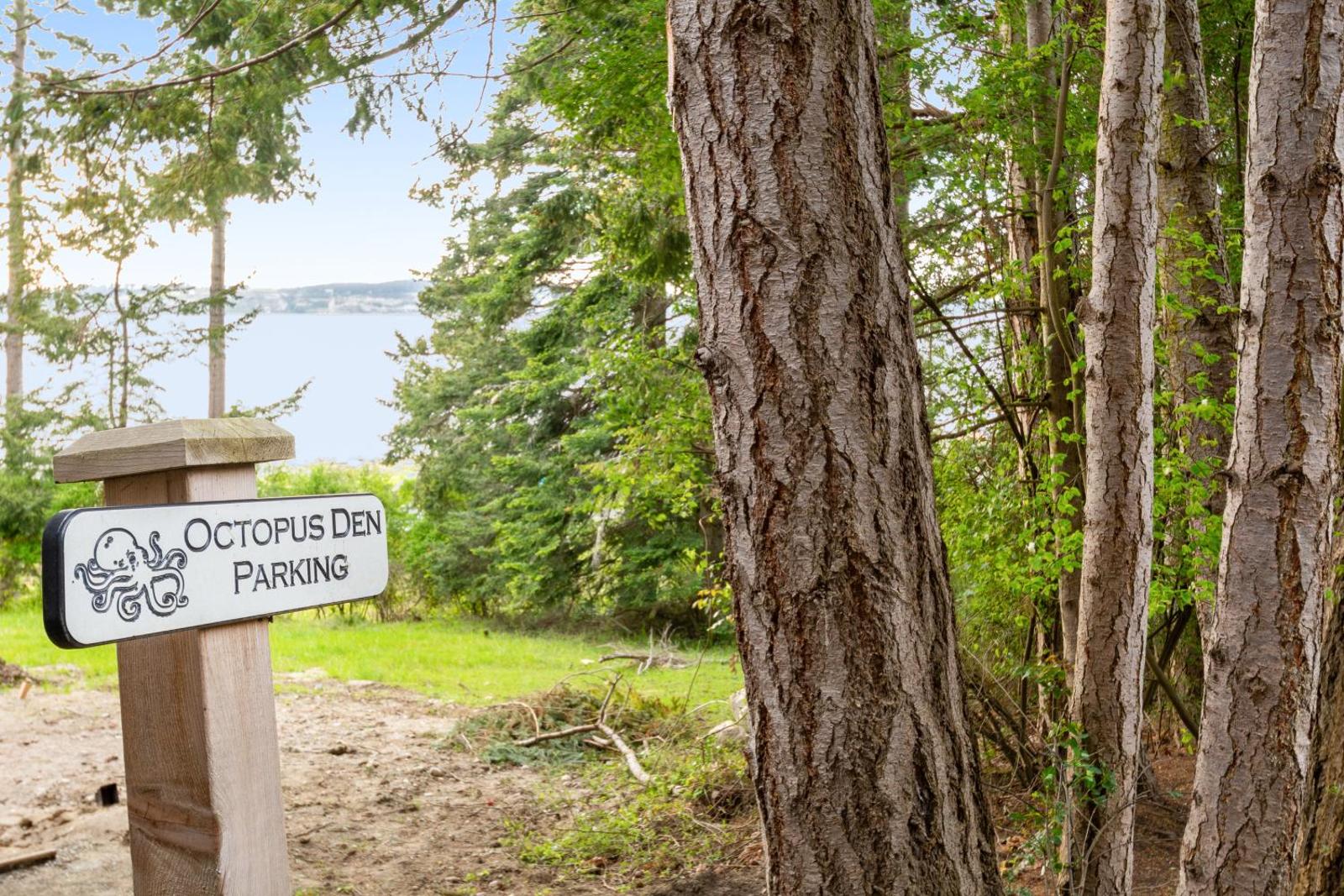 Octopus Den Main image 1