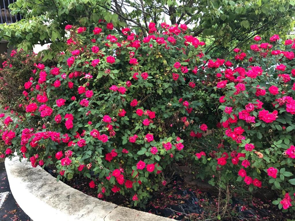 Popular attractions Area Nearby Property