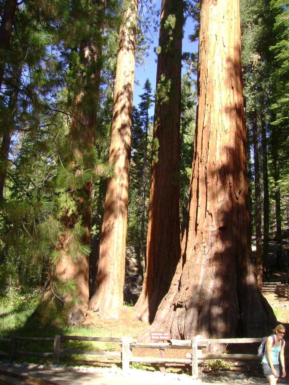 Popular attractions Area Nearby Property