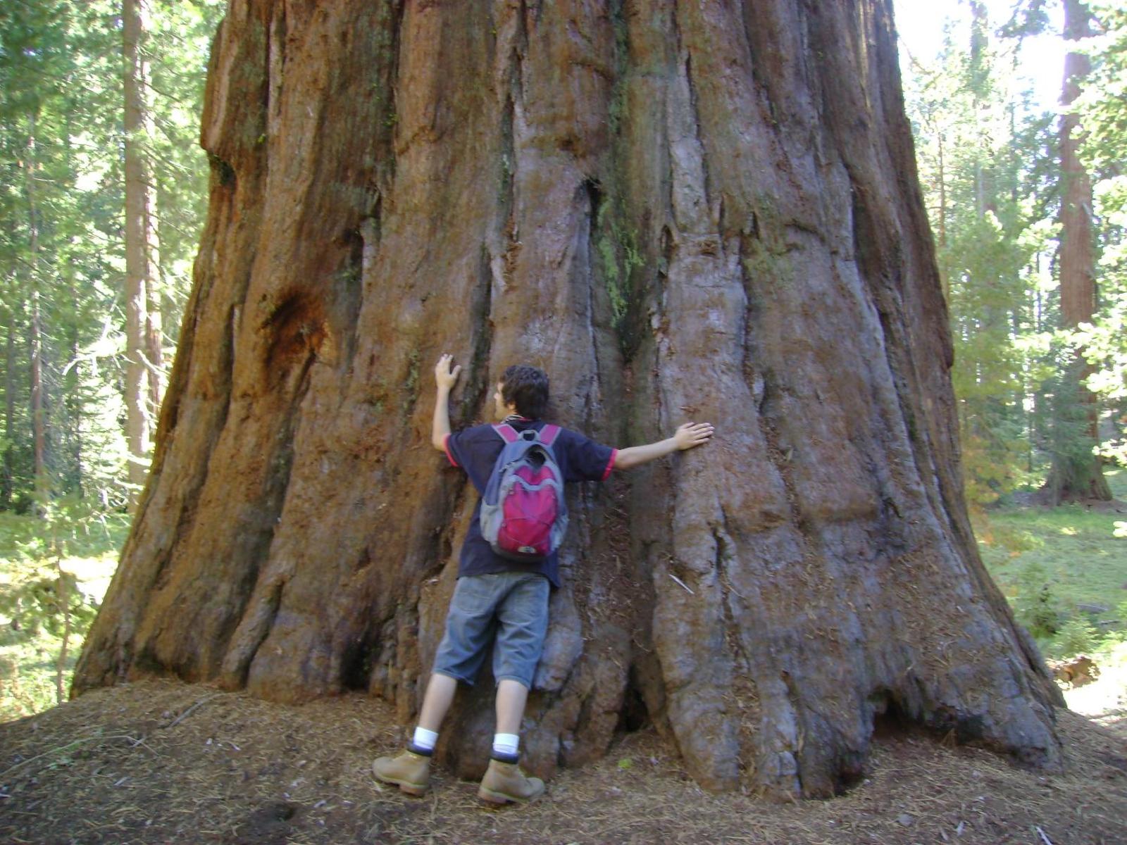 5th Street Inn Main image 1