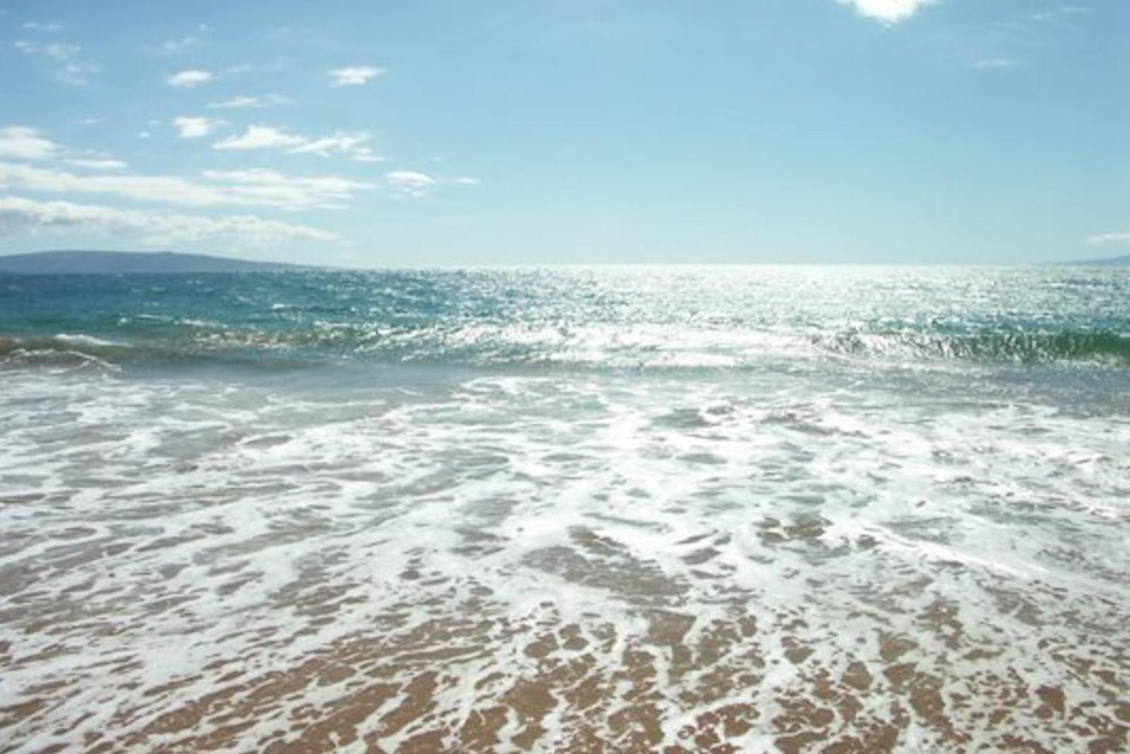 Popular attractions Area Nearby Property