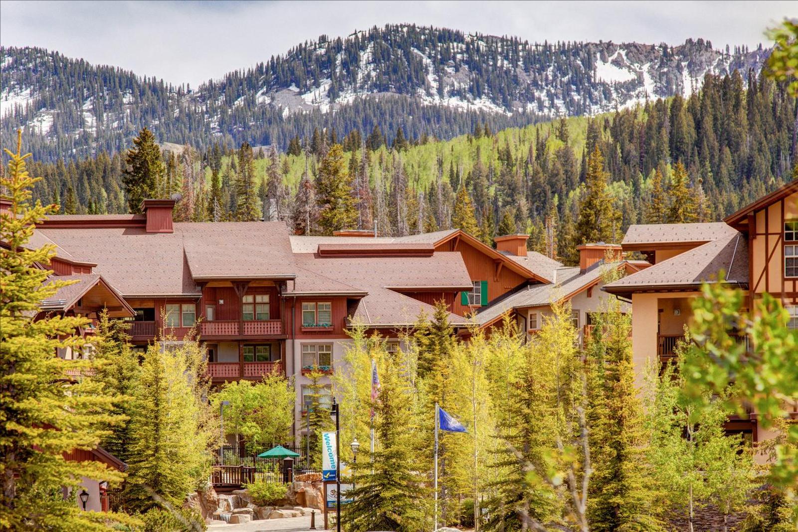 Popular attractions Area Nearby Property