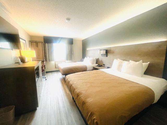 Queen Suite with Two Queen Beds - Non-Smoking