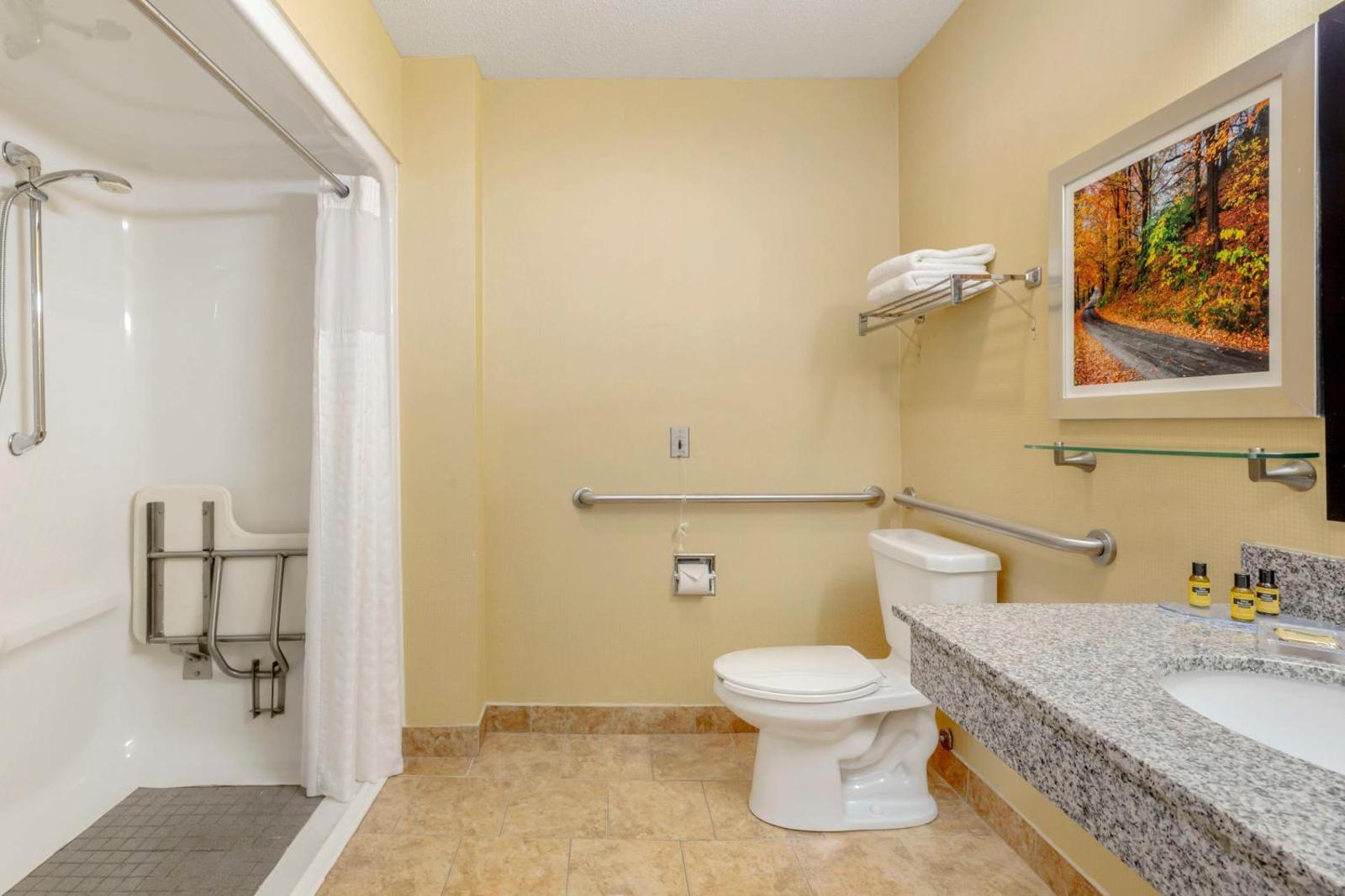 King Room with Roll-in Shower - Non-Smoking/Disability Access