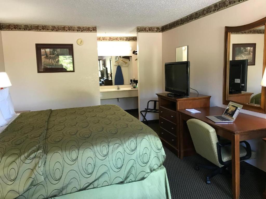 Budget Single Room