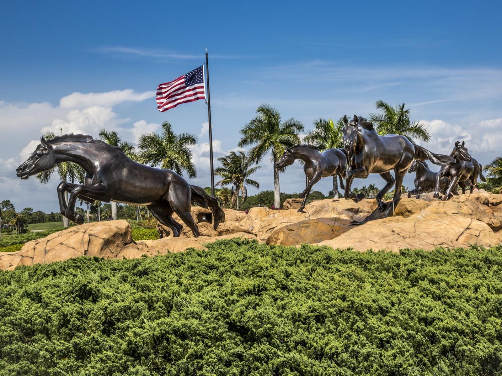 Popular attractions Area Nearby Property