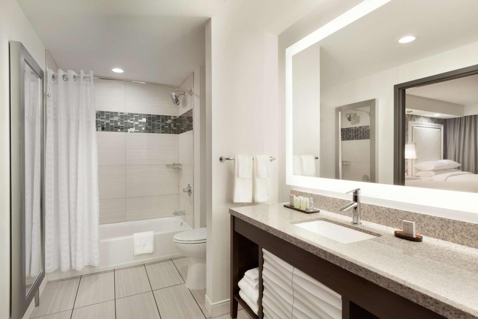 Embassy Suites by Hilton Atlanta NE Gwinnett Sugarloaf image 8