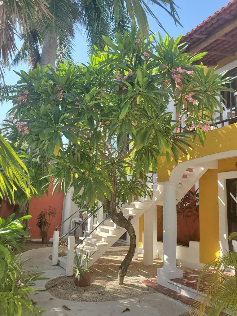 HOTEL ACUARIO