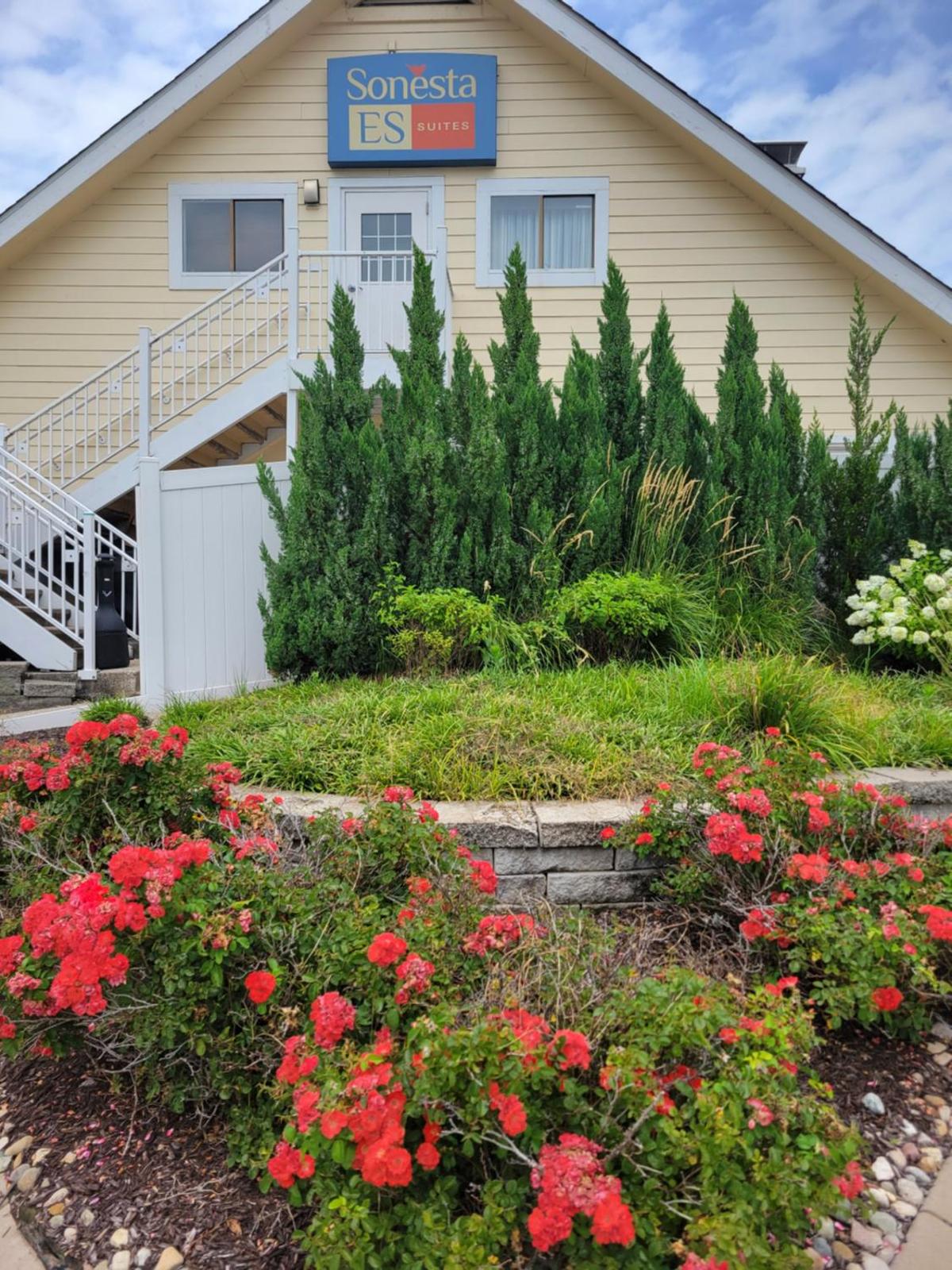 Sonesta ES Suites St. Louis - Chesterfield Main image 2