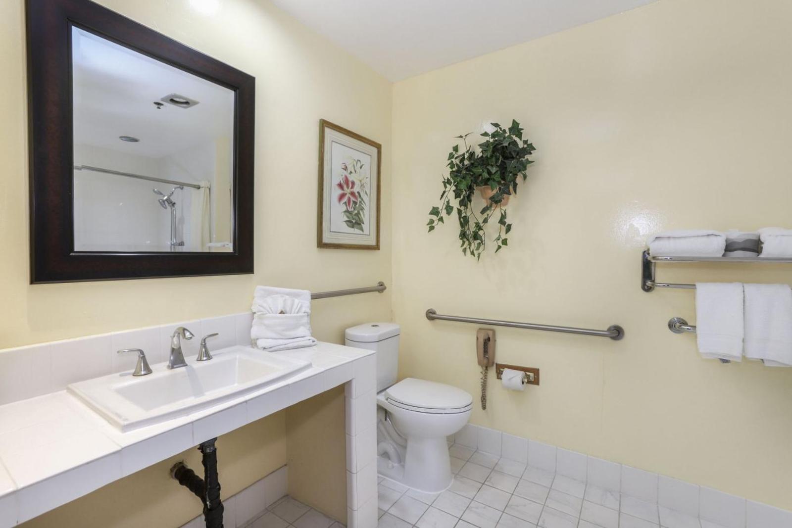 Single Room - Disability Access