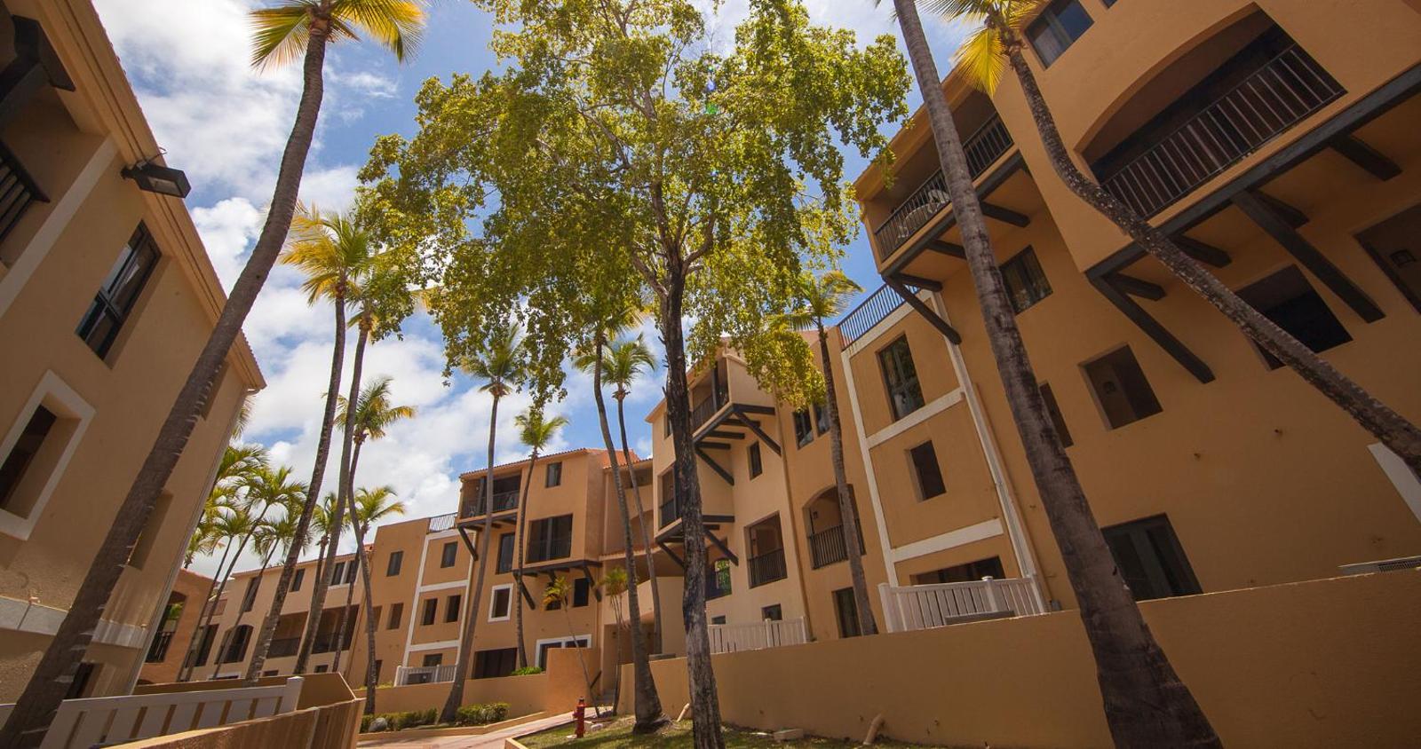 Park Royal Homestay Club Cala Puerto Rico image 15