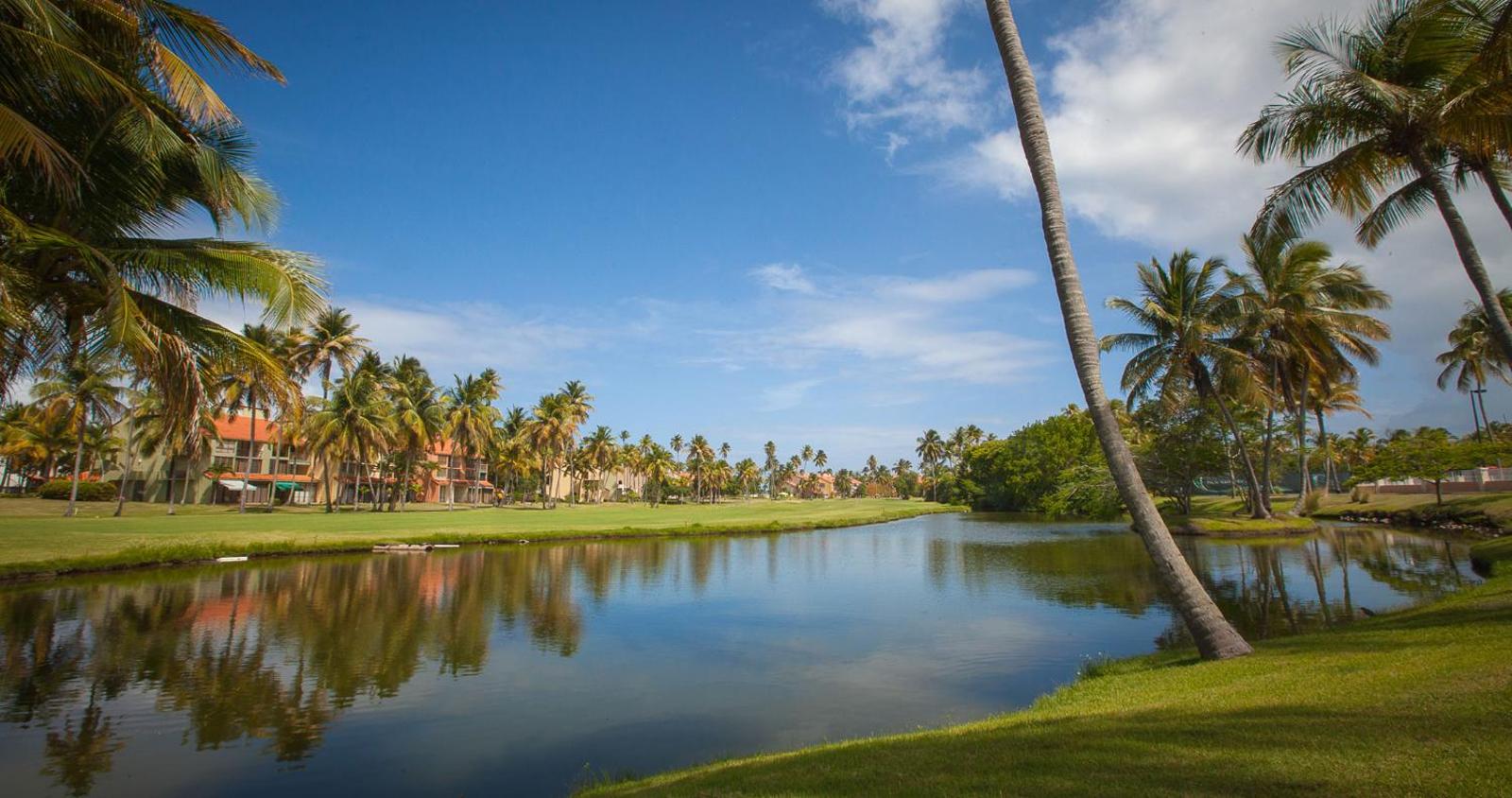 Park Royal Homestay Club Cala Puerto Rico image 11