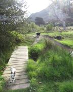 Top Noordhoek