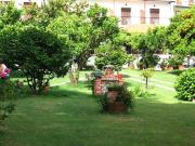 Top Agios Ioannis Pelio