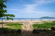 Top Tamarindo