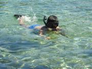 Top Korčula