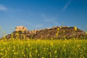 Top Alwar