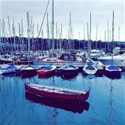 Top Kinsale