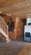 Top Salaspils