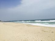 Top Gangneung