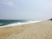 Top Gangneung