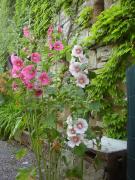 Top Annay-sur-Serein