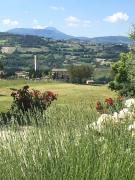 Top San Severino Marche