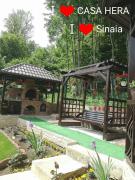 Top Sinaia