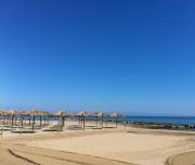 Top Margherita di Savoia