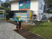 Top Biscarrosse-Plage Top Biscarrosse-Plage