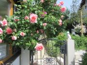 Annas Home - Ferienwohnungen