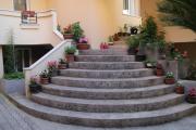 Top Budva