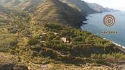 Top Guayedra