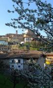 Top Castellinaldo