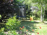 Top Sasino Top Sasino