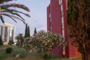 Top Budva