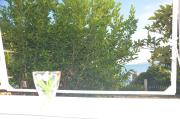 Top Senj