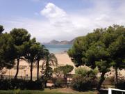 Top Alicante