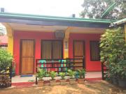 Amelia Homestay