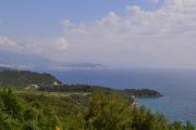 Top Sutomore
