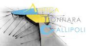 Top Gallipoli