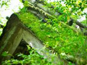 Top Minamioguni Top Minamioguni