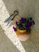 Top Castetnau-Camblong