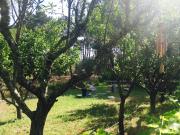 Top Aldeia do Meco