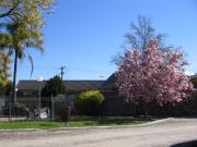 Top Wodonga