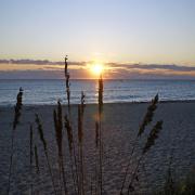 Top Lake Worth