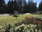 Top Sequim