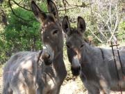 Top La Garde-Freinet