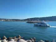 Top Pesaro
